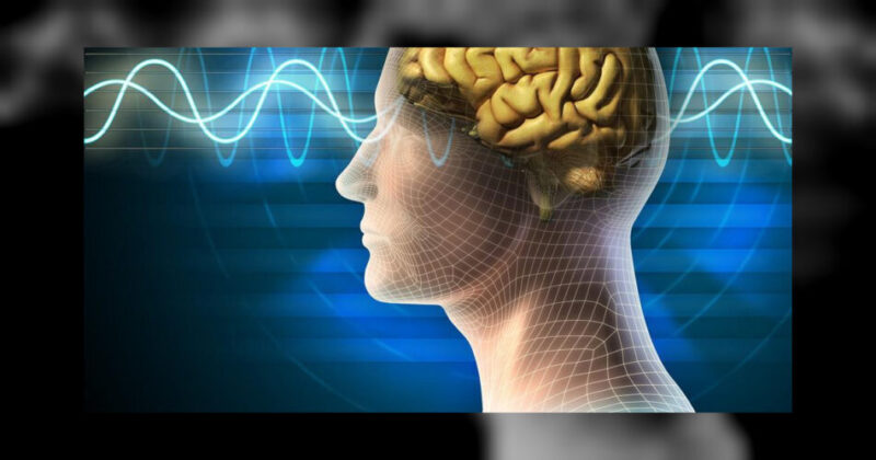 C1200x630 curiozitati despre creierul uman