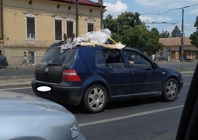 Cadavru pe masina 1