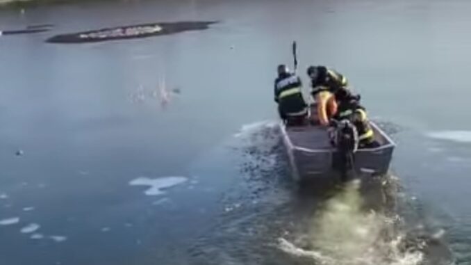 Salvare copii olt 678x381