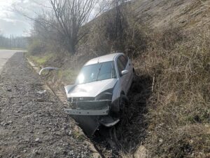 52806602515_78e8301dcd