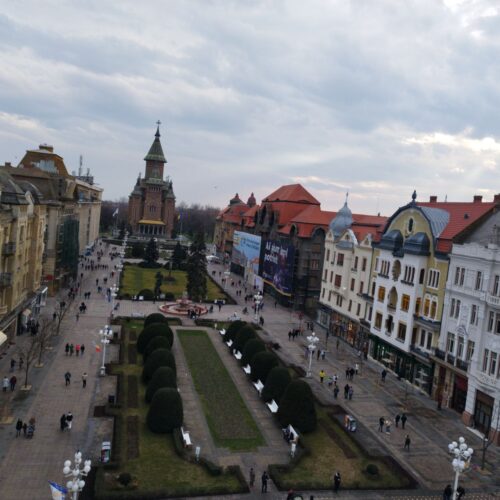 Photo 5855083247258680363 y