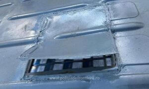 1691312462119 bors1 S4