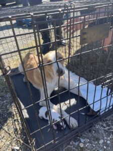 WhatsApp Image 2023 09 20 at 16.01.19 (1)