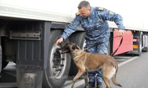 1697780443230 15194 S4