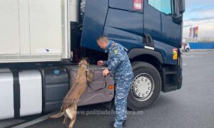 1697780444377 15193 S4