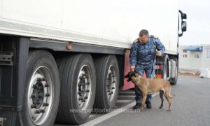 169778044588 15191 S4