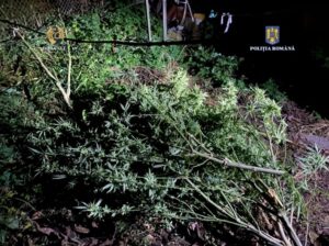 Whatsapp Image 2023 10 19 At 19.32.49 (1)