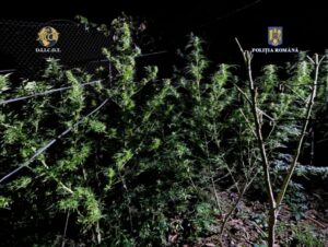 Whatsapp Image 2023 10 19 At 19.32.49