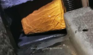 1700124897243 15452 S4