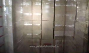 1700381851157 19490 S4