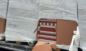 1701074041421 15571 S4