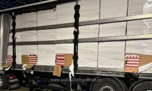 1701074042298 15569 S4