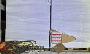 1701074042391 15570 S4