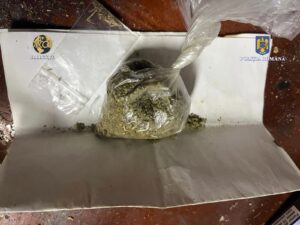 Whatsapp Image 2023 11 08 At 12.29.11