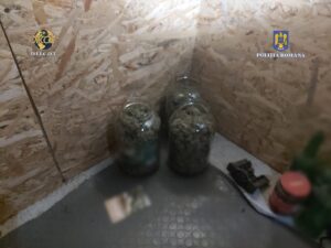 Whatsapp Image 2023 11 09 At 12.07.29