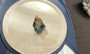 1705046665359 15879 S4