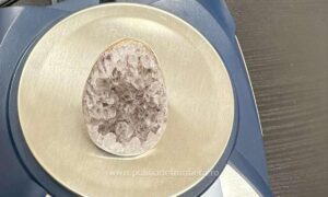 1705046666337 15877 S4