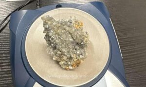 1705046666369 15878 S4