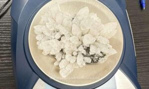 170504666786 15876 S4