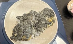 170504666847 15874 S4