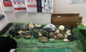 1705046672181 15866 S4