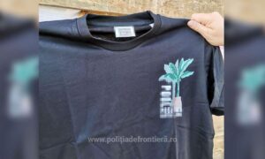 1713259307362 16628 S4