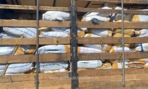 171325931254 16621 S4