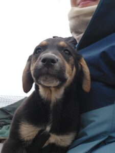 Whatsapp Image 2024 04 04 At 6.38.41 Pm