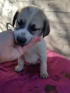 Whatsapp Image 2024 04 04 At 6.38.42 Pm (1)