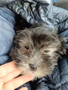 Whatsapp Image 2024 04 04 At 6.38.42 Pm (2)