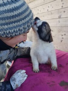 Whatsapp Image 2024 04 04 At 6.38.42 Pm