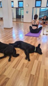 Whatsapp Image 2024 07 27 At 22.51.33 (2)