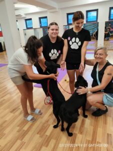 Whatsapp Image 2024 07 27 At 22.51.33 (3)