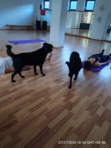 Whatsapp Image 2024 07 27 At 22.51.34 (2)