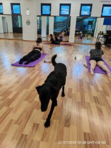 Whatsapp Image 2024 07 27 At 22.51.34 (3)