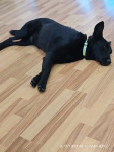 Whatsapp Image 2024 07 27 At 22.51.35 (1)