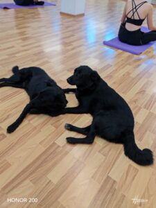 Whatsapp Image 2024 07 27 At 22.51.36 (1)