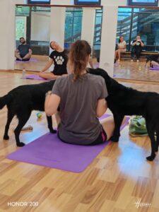 Whatsapp Image 2024 07 27 At 22.51.36 (2)