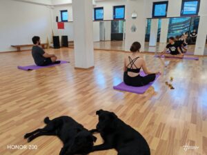 Whatsapp Image 2024 07 27 At 22.51.36