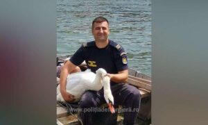 1723221089107 50115 S4