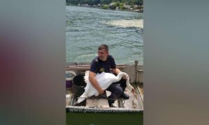 172322109083 50116 S4