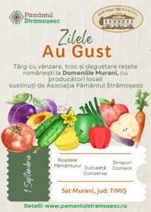 Whatsapp Image 2024 08 09 At 13.23.17