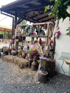 Whatsapp Image 2024 08 09 At 13.23.18 (1)