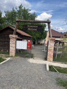 Whatsapp Image 2024 08 09 At 13.23.18