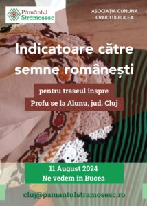 Whatsapp Image 2024 08 09 At 13.23.18 (4)