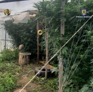 Whatsapp Image 2024 10 07 At 14.56.42