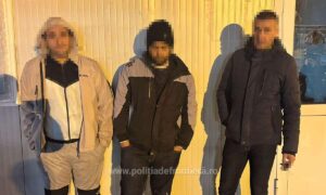 1732614869383 19955 S4