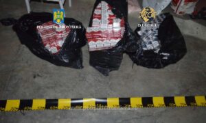 1732789905144 19988 S4