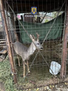 Whatsapp Image 2024 11 14 At 09.56.43