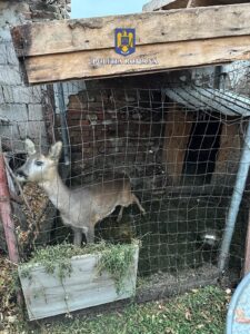 Whatsapp Image 2024 11 14 At 09.56.44